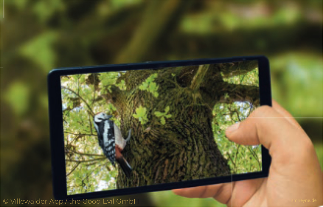 Villewälder – AR in Game view with a woodpecker on the tree